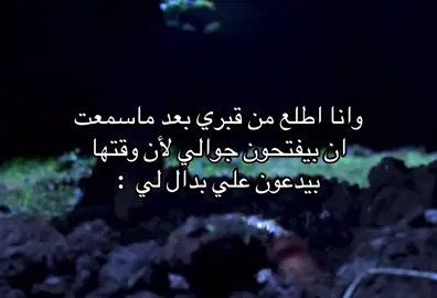 #كلها ذبات عنهم 😭😭