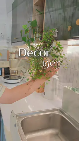 Saigon | Daily | Decor Bếp  Có cái bếp bé tí tẹo ,mà suốt ngày decor 🍀.. #annatram_daily #dailyvlog #cuocsongthuongngay #cuocsonganyen #xuhuong #bepxinh_nhadep #decorbep 