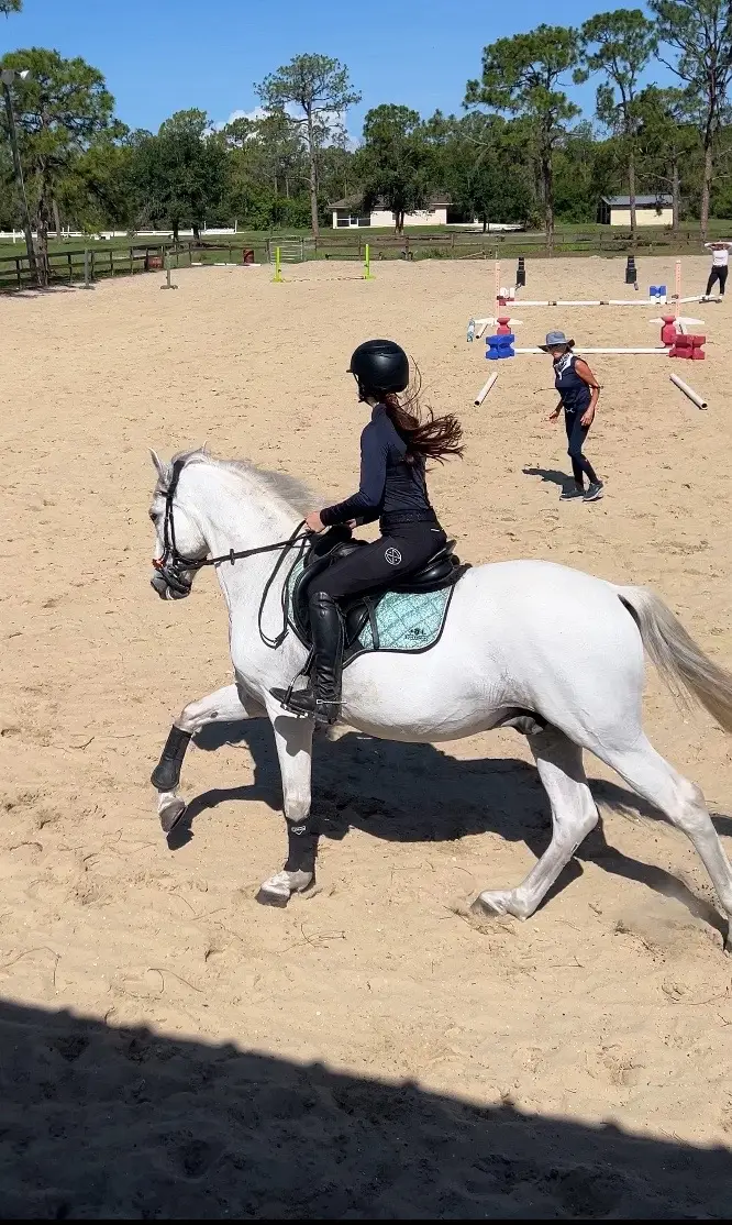 #horsetok #whitehorse #horseriding 