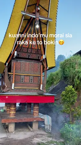 #bokin #toraja #torajasulawesiselatan #fyppppppppppppppppppppppp #sulawesiselatan #masukberanda 