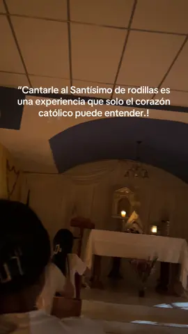 “Es en ese silencio de adoración donde mi alma se encuentra con la paz que tanto buscaba. 🙌🏻❤️‍🩹 #fyp #paratiiiiiiiiiiiiiiiiiiiiiiiiiiiiiii #iglesiacatolica #🤍 #🛐 #jesussacramentado 