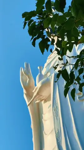 Chùa Linh Ứng Sơn Trà hay còn gọi là chùa Linh Ứng Bãi Bụt nằm tựa lưng vào đỉnh núi Sơn Trà, Đà Nẵng. Được xây dựng từ năm 2004, chùa này là một công trình kiến trúc mang giá trị văn hóa – nghệ thuật của Đà Nẵng, nằm cách trung tâm thành phố khoảng 12 km. Tọa lạc ở độ cao 693 m so với mực nước biển, đây là ngôi chùa lớn nhất ở Đà Nẵng về cả quy mô lẫn kiến trúc nghệ thuật. A DI ĐÀ PHẬT #phatphapkydieu 