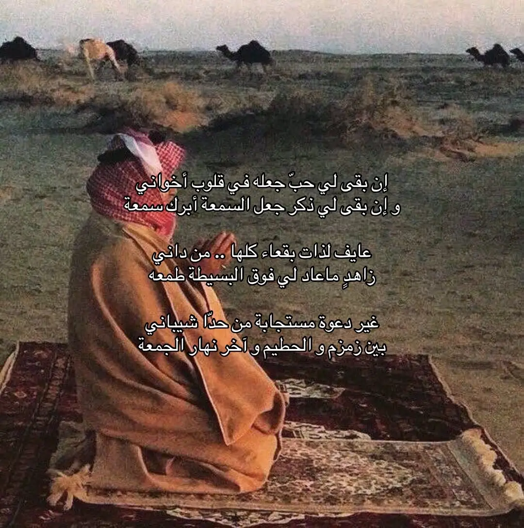 #أكسبلور #شِعر #explore #fyp #شعر_وقصائد #قصايد 