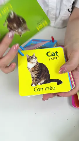 Bé yêu nhà mình đã thuộc hết tên các loại con vật chưa ạ? #cohoaidochoi #thehocthongminh 