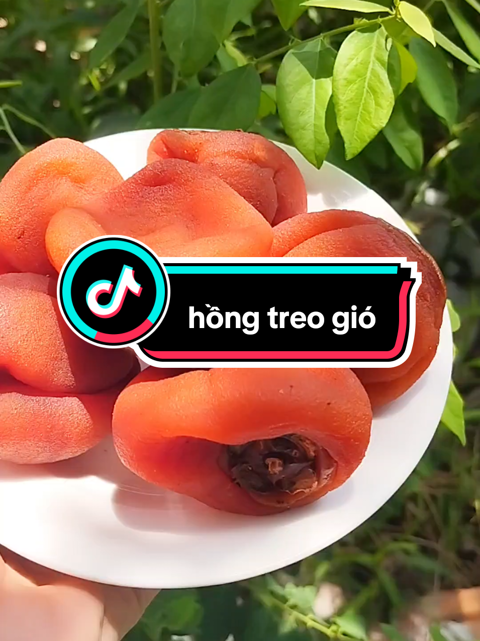hồng treo gió nhiều mật .dẻo k quá ngọt.#hongtreogio 