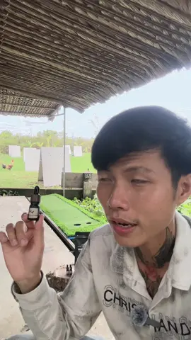 Sâm nuôi gà tăng po và sức đề kháng #thaicm 