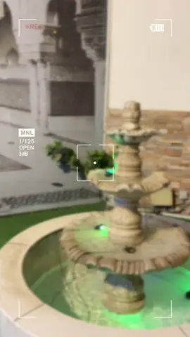 Royal Dinner At dubai #fypage #lalqila #dinnerwithme #mydubai 