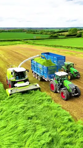 Mowing and chopping grass for silage with the CLAAS Jaguar forage harvester #silage #claas #forageharvester #farmlife 