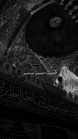 #مسلم_الوائلي313 #قصائد #بين_هاي_وهاي_حاير💔 #حسينيات #اكسبلور #اكسبلورexplore #greenscreen #instagram #tiktok #شعراء #CapCut #🖤 #اربعينيه #الامام #الحسين #علي_بن_ابي_طالب #العباس_عليه_السلام #بين_الحرمين 