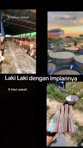 semoga impian kita tercapai semuanya#petaniindonesia🇮🇩🇮🇩🇮🇩🌿🌿 #fyp 