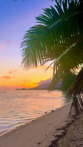 Good morning ☀️  #sunrise #beachvibes #moorea #polynesian #frenchpolynesia #morning #plage #leverdesoleil #goodvibes #quiet #asmr #waves #pacific #beautifuldestinations #travel #pourtoi #polynesie 