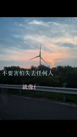不要害怕失去任何人 #流量 #文案馆 #感情語錄 