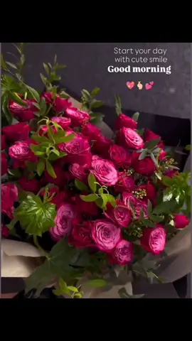 Good Morning Keep Smile Dear 💖💐#goodmorning #foryou #foryoupage #fypage #romentic #romentic_dairyy #creatersearchingsight #unfreezemyacount #wellcome #foryoupageofficiall 
