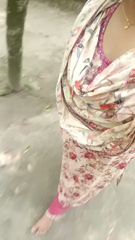 শেরপুর