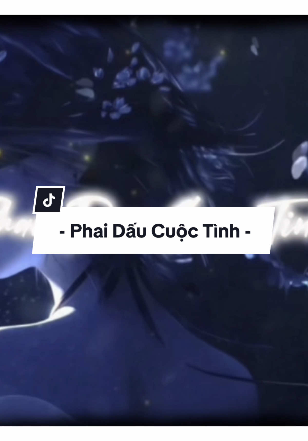 - Phai Dấu Cuộc Tình - // (Qtrung Remix) #xuhuong #nhachaymoingay #VIETMIX #amnhacviet #nhacco #Qtrungremix #musicvinyl 