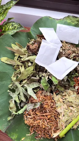 120 gói cho set Trà lá nam 10 vị túi lọc nghiền #lanam10vi #tralanam #thaoduoczone 