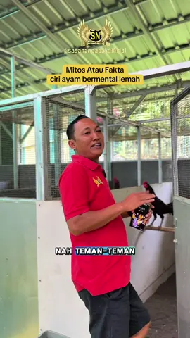 Mitos atau fakta . CIRI-CIRI FISIK 4yam bermental lemah yuk diskusi di kolom komentar  . . #sasanangapakpurwokerto #sasanangapak #saasanangapakfarm #sasanangapakofficial #edukasi #farm #farmlife