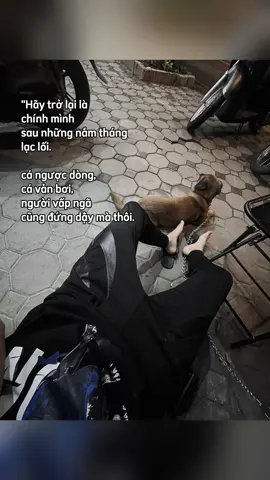 #CapCut #xuhuong …!