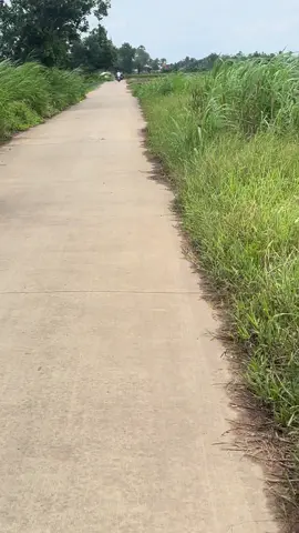 Nay đi đại khách huyện bạn 