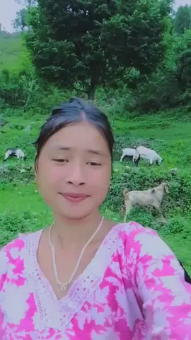#बाख्रा_गोठाला❤️🐐🐐#जंगल_तिर🤗😄❣️ #viral_video #follower🥺❤️like #foryoupage❤️❤️ #viralsong❤️❤️keepsupporting❤️❤️ #tiktoknepal🇳🇵 #deudalover❤️❤️tiktoknepal #सुदुर_पश्चिम_देउडा❤️❤️😘 