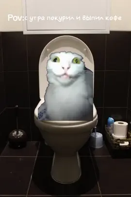 кофе меня дурманит  #кофе #кофеменядурманиткофеменяпьянит  #котёнок 