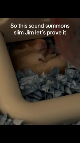 Will they comment #viral #fyp #slimjim @Slim Jim 