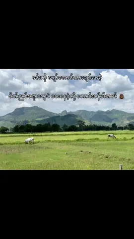 #တောင်းပန်ပါတယ်အချစ်ရယ်😔🥀 #fpyシ 