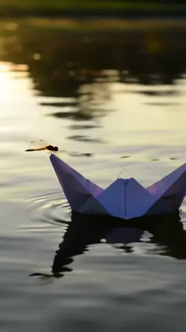 AI. Paper boat in a pond #paperboat #paper #ai 