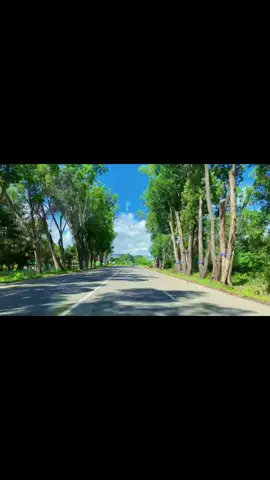 #roadtrip #memoriesbringback 