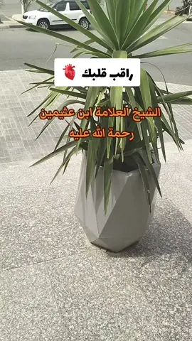 #الفوزان_الالباني_ابن_باز_ابن_عثيمين #عبد_الرزاق_البدر #الإسلام #الصلاة_ثم_الصلاة_ثم_الصلاة #السلف_الصالح #صالح_اللحيدان #عبد_السلام_الشويعر #الشيخ_ربيع_المدخلي #شيخ_الإسلام_ابن_تيمية #أجر_لي_ولكم #صدقه_جاريه 