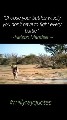 Choose your battles wisely you don't have to fight every battle #nelsonvelasquezvallenato #stitch #faiqbhai #kevinhart