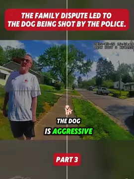 Part 3 #bodycam #cops #viralvideo #policeofficer #trending #fouryou 