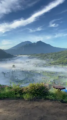 🤩pagi🍃🍃🍃../ . . . . #pohonsurgacamp #kintamani #desapinggankintamani #bali #balivibes #wisata #viral 