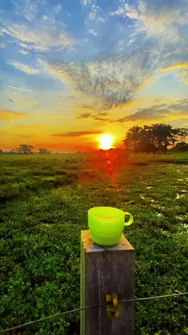 #amanecer #llanovenezolano #llanosdebarinas🇻🇪 #llanero #paisajes #viral #llanura #jorgegerrero #cafe 