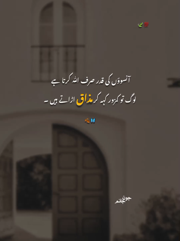 Bilkul Yar 💯🥺 unfreeze account plzz 💔🙏🏻 @TikTok #fyp #tiktok #viralvideos #foryoupageofficiall #foryou #trendingvideo #foryoupage #urdupoetry #shayari #poetrystatus #unfrezzmyaccount #naveed_edit01 #jaunjanm01 