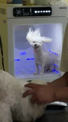 da ling hou mai hen #xhhhhhhhhhhhhhhhhhhhhhhh #olong3anhem #darlingdarling #holdmyhand 