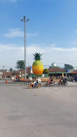 Nanas segede ini bisa dimakan orang se-kelurahan #nanas #tugunanas #subang #jalanjalan #fyp #godhongpinus #goodvibes #pesonaindonesia #view #vibes #jabar #langit #monumen 