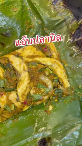 เคล็ดลับการทำ “แอ๊บปลานิล” สูตรและเคล็ดลับนี้ทำตามแล้วจะอร่อยมากแล้วแซ่บขึ้นอีกกับ  ฟรี!!! Workshop สอนทำอาหาร แบบ Exclusive แกะสูตรเมนูเด็ด  จากวัตถุดิบท้องถิ่นที่จะบุกไปเยือนถึงถิ่น 4 ภาคทั่วไทย 29 มิถุนายน 2568 ณ grandma's home cooking school  จ. เชียงใหม่เวลา 08.30 -12.00 น.  #ห้องครัวtiktok #tiktokuni #tiktokพากิน #เชฟกะปอม #กะปอม #อาหารอีสาน #น้ําปลาร้าแม่เหรียญ 