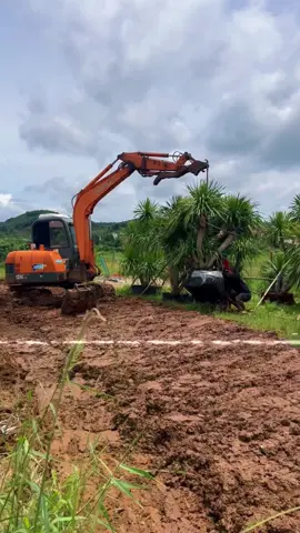 Muốn thì tìm cách. Không muốn tìm lý do. Mưa gió xe cẩu không vô được thì e múc luôn. Khách cần là e triển thôi ☘️#canhquandanganh #sanvuondep #phattainui 