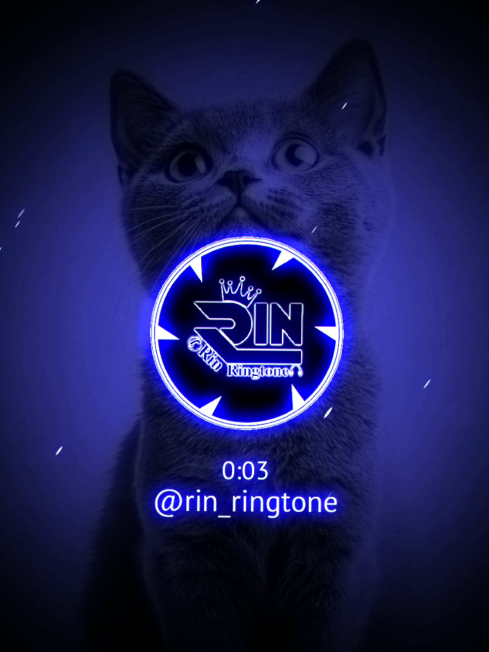 ringtone suara kucing😍📞📲 #music #ringtone #viral #nadadering #notif #notifwhatsapp #foryou #ringtones #aveeplayer #foryoupage #fyp #rin_ringtone 