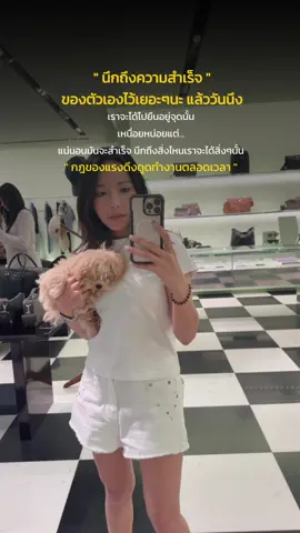 #สตอรี่ความรู้สึก #CapCut #korea #dogsoftiktok #dog #หมาเกาหลี #เทรนด์วันนี้ 