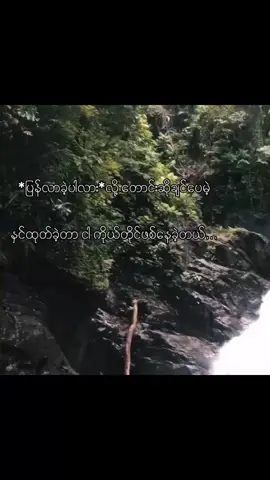 ပြန်လာပေးပါလား🥺🥺 .. .. .. #fypシ#fypシ#fypツforyoupage#fyptiktok#viraltiktok#fyppppppppppppppppppppppp 
