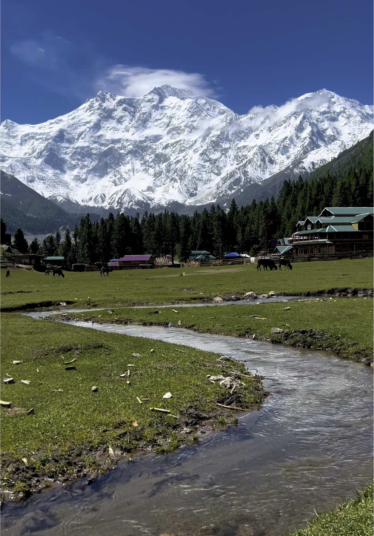 The most beautiful place in Northern Pakistan 🏔️❤️😍 📍: Fairy meadows ❤️😍 𝐏𝐥𝐚𝐧 𝐲𝐨𝐮𝐫 𝐩𝐞𝐫𝐟𝐞𝐜𝐭 𝐜𝐮𝐬𝐭𝐨𝐦𝐢𝐳𝐞𝐝 𝐁𝐲 𝐚𝐢𝐫 𝐭𝐫𝐢𝐩 & 𝐛𝐲 𝐫𝐨𝐚𝐝 𝐭𝐫𝐢𝐩𝐬 𝐭𝐨 𝐝𝐢𝐟𝐟𝐞𝐫𝐞𝐧𝐭 𝐝𝐞𝐬𝐭𝐢𝐧𝐚𝐭𝐢𝐨𝐧𝐬 𝐢𝐧 𝐩𝐚𝐤𝐢𝐬𝐭𝐚𝐧 𝐰𝐢𝐭𝐡 𝐒𝐤𝐚𝐫𝐝𝐮 𝐓𝐨𝐮𝐫𝐢𝐬𝐦 𝐂𝐥𝐮𝐛 Skardu | Hunza | Fairy meadows | Astore minimerg | Naran kaghan     Direct flights available from Karachi - Lahore - Islamabad  & Dubai  1: Family Tours  2: Honeymoon Tours  3: Corporate Tours  4: Group Tours 5: College / university tours  Make memories with your loved ones We are offering affordable packages. Get your quote today.  ⁨WhatsApp us number mentioned in profile  #foryou #foryoupage #skardutourismclub #k2adventureclub #unfrezzmyaccount #goomopakistan 