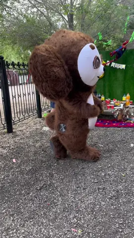 Чебурашка на вечеринке  #наследство 