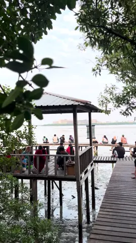 Tempat menikmati sunset di Gresik! Wisata Gratis di Kota Gresik! 😍  📍Wisata Mangrove Karang Kiring, Gresik, Jawa Timur  ⏰ Buka pukul 07.00 - 17.00 #wisata #gresik #gresik24jam #gresikhits #hutanmangrove #mangrove #sunset #sunsetvibes #tiktok #fyp #fypp 