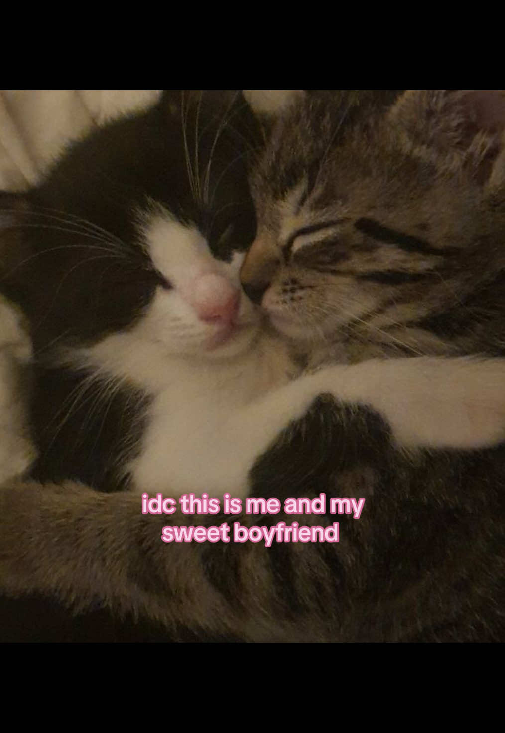 I LOVE MY BOYFRIEND SO MUCH!💗 #fyp #account #forhim #followme #abouthim #ilovehimsomuch #him #cats #Love #Relationship #real #fypシ #foryoupage❤️❤️ #cutecats #reposting #repost 