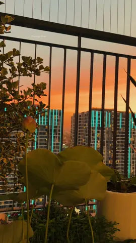 #CapCut Nhà hướng Đông Bắc Đông Nam thì sao thấy cảnh đẹp này đây 🥰🥰🥰 #hoanghon #chungcuhanoi #muanhachungcu #vinhomesoceanpark #pavilion 