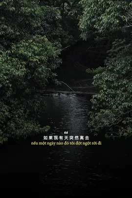 你是我唯一的執著 / Em là cố chấp duy nhất của anh.      #daivy95 