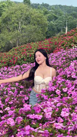 เขาค้อ⛰️#แสงจ้า 