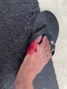 Này thì ăn thịt chó